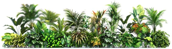 Lush Tropical Plants Illustration png