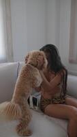 femme profiter une soumissionner moment câlins avec une chien sur une confortable canapé dans une Accueil réglage video