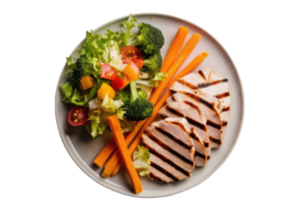 equilibrado plato con A la parrilla pollo y vegetales png