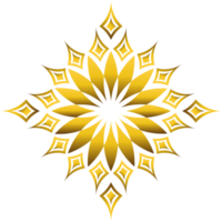 luxo dourado floral quadro, Armação decoração png