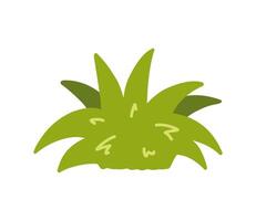 Bush isolated on a white background. hand-drawn illustration in a flat style. Perfect for cards, decorations, logo, various designs. vector