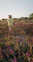 wenig süß Kind Mädchen Laufen draussen mit wild Blumen und Abend Sonnenlicht video