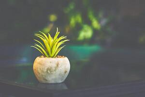 flor maceta con planta en un mesa en un café en sombra foto