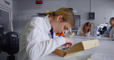 Schülerin Anzeigen getrocknet Käfer im Kasten, Prüfung entomologisch Sammlung im Biologie Klassen video