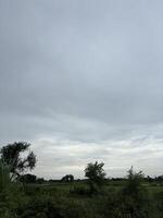 Cloudy Day Landscape with Trees in Foreground photo