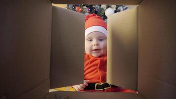 kind opent een Kerstmis Cadeau in de buurt een versierd Kerstmis boom. glimlachen baby klimt in de doos voor zijn geschenk. kleuter in de kerstman claus kostuum bereikt in de doos voor zijn geschenk. video