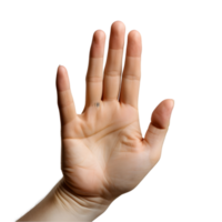 hand showing five fingers on transparent background png