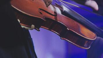 detalhe do uma violino durante a orquestra show video