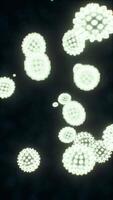 visualisation le virus en dessous de une numérique microscope video