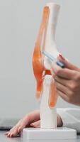 Orthopedic specialist analyzes imaging results in a modern office, using a laptop and knee joint model for detailed assessment. Showcases advanced orthopedic diagnostics and consultation.Vertical shot video