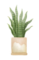 Schlange Pflanze im süß Boho Lehm Keramik Topf Aquarell Illustration png