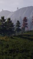 paesaggio di belle montagne nei Carpazi video