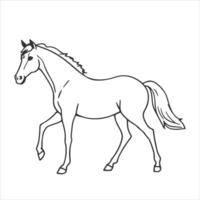 an horse animal outline design for coloring vector
