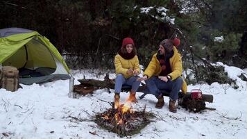 jung Mann und Frau in der Nähe von ein Lagerfeuer im das Wald im Winter. Touristen Reise zusammen. das Jungs sind lächelnd und chatten. Reise und Abenteuer Konzept. video