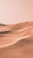 light of the sunset in the beautiful desert in Abu Dhabi video
