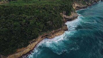 Aerial view of the wild tropical coast of the Dominican Republic with rocky cliff and untouched nature.A light breeze rolls onto shore with turquoise ocean waves.A luxurious landscape for relaxation video