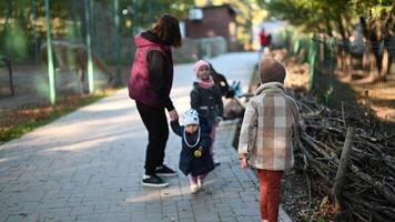 Mother and Children Enjoying a Day at the Zoo, Walking Along Path and Observing Animals video