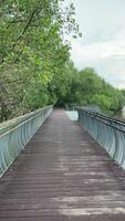 Coastal Trail at Sungei Buloh Wetland Reserve, Singapore video