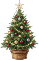 étourdissant Noël arbre clipart pour vacances décoration projets. . png