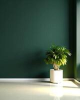 Green wall with a potted plant in a white pot photo
