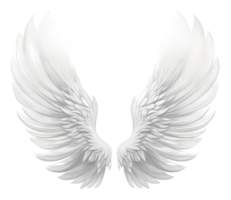 Softly detailed white angel wings png