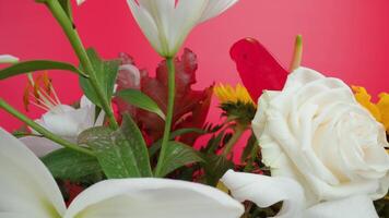 fleur bouquet avec verdure contre brillant rose studio mur video