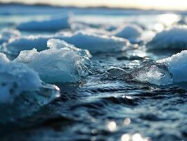 ice in the water photo