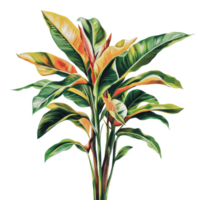 Vibrant tropical plant leaves close-up png