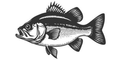 un negro y blanco dibujo de un bajo pescado vector