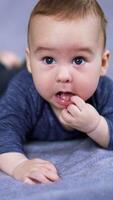 adorable caucasien enfant mensonges sur ventre avec le sien doigt dans bouche. charmant sucré bébé repos pacifiquement sur le gris plaid. proche en haut. flou toile de fond. verticale video