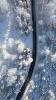 aérien vue de scénique route par neigeux hiver Montagne forêt. video