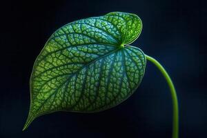de cerca de un vibrante verde hoja con intrincado venas foto