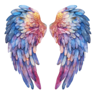 Two colorful wings png
