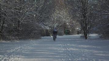 maschio ciclista Ciclismo nel parco su neve durante inverno su soleggiato tempo metereologico nel Monaco, Germania. pendolarismo di bicicletta nel tutti tipi di tempo atmosferico. all'aperto inverno attività. eco-friendly trasporto nel inverno. video