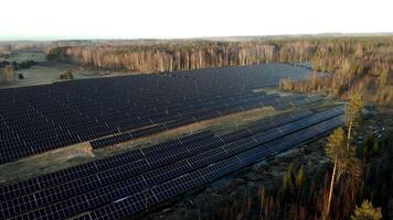 expansif solaire ferme avec sans feuilles forêt frontière dans rural réglage video