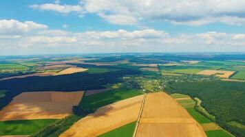 Beautiful landscape of green and yellow fields near river. Amazing view of nature with a blue river and fields. Harmful factory with pipes among nature. Aerial view. video