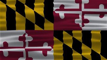 stänga upp animering av de maryland flagga. maryland bakgrund. USA mall video