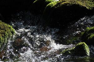 pulverización agua en un arroyo. foto