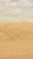 Sunset over the sand dunes in the desert video