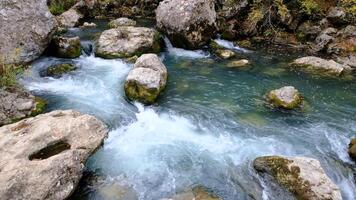 nettoyer l'eau est se précipiter par naturellement formé rochers. magnifique Frais l'eau rapides cascades rivière écoulement dans l'automne forêt video