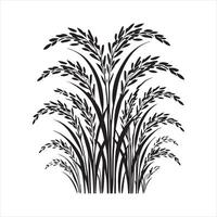 Rice plant black silhouette on white background vector