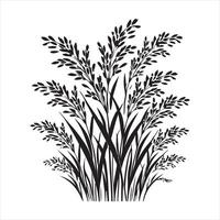 Rice plant silhouette on white background vector