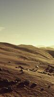 Beautiful sand dunes in the Sahara desert at sunset video