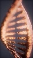 intricato struttura di dna in mostra nel un' dettagliato microscopico Visualizza video