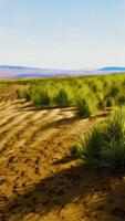 Stoney desert in outback Australia video