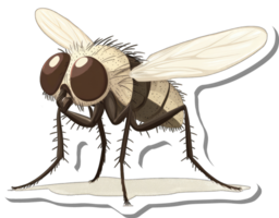 detalhado ilustração do uma luz Castanho mosca png