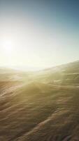 Beautiful sand dunes in the Sahara desert video