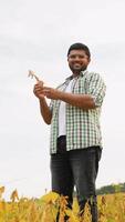Indian farmer stands in a soybean field examining a plant's growth video