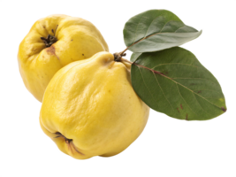 A golden-yellow quince with a smooth, matte skin and a fresh, fragrant appearance. png