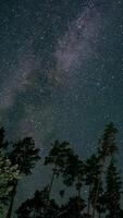 Zeit Ablauf von ziehen um Sterne und das milchig Weg im Nacht Himmel, Epos , Vertikale Aufnahmen video